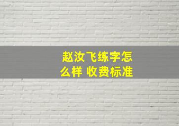 赵汝飞练字怎么样 收费标准